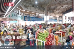 美国华裔青少年研学“亚洲花都”感受昆明鲜花经济活力