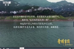 两岸同胞的端午之约 台湾屈氏后裔回屈原故里过端午
