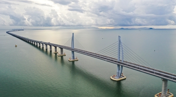 “港车北上”实施近一年　超6万辆香港单牌私家车完成申请 