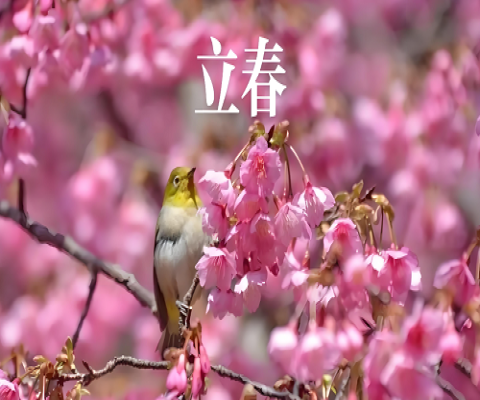 立春：东风解冻意 草木感春声